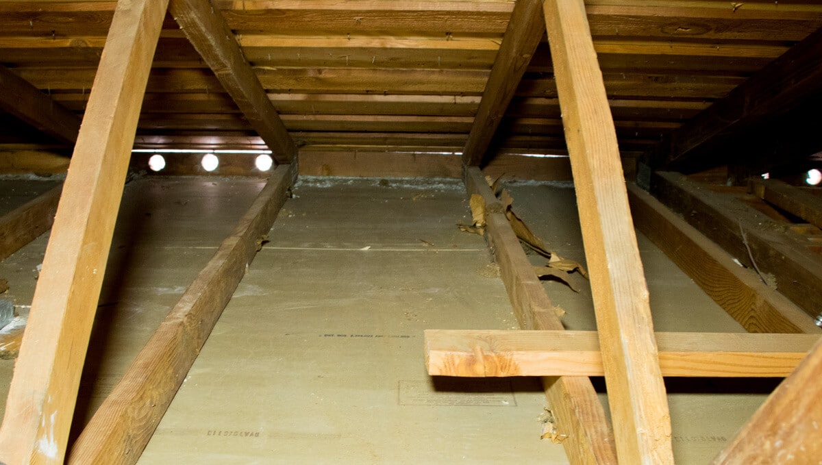 why-should-you-get-your-crawl-space-cleaned-professionally