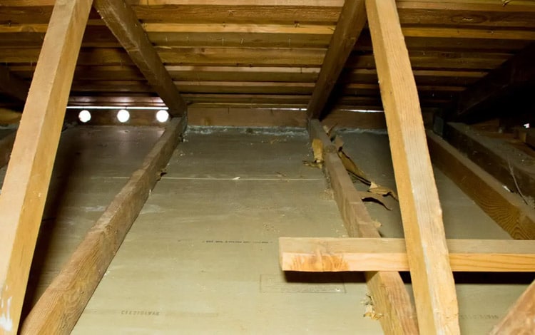 Crawl Space Cleaning & Decontamination Services